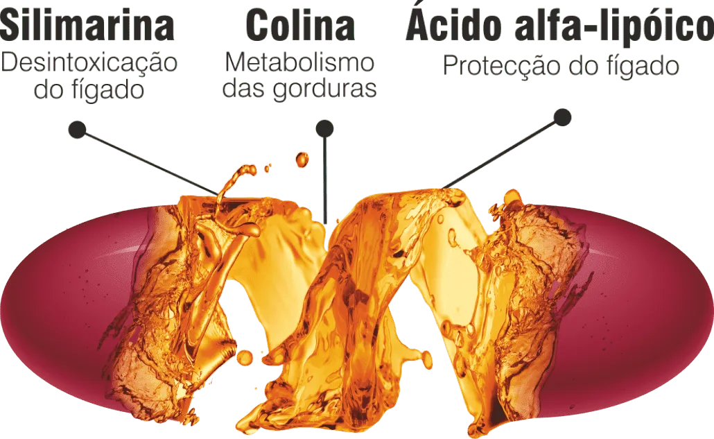 Ilustração do Complexo Hepa DTX com silimarina, colina e ácido alfa-lipóico associados à desintoxicação e proteção do fígado.