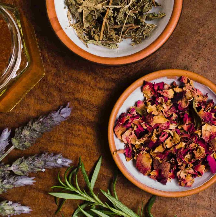 Plantas Medicinais
