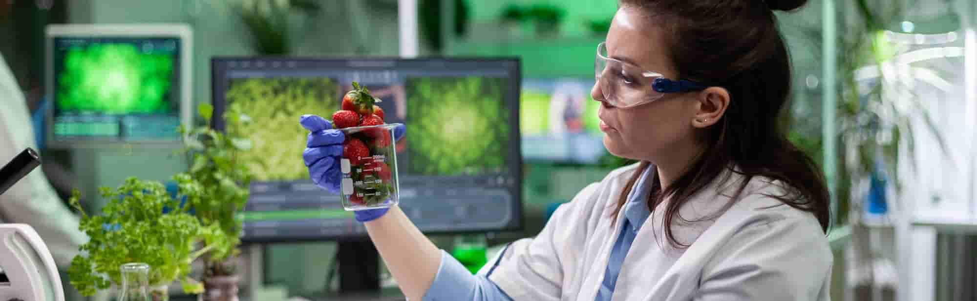 Investigadora analisa ingredientes naturais em ambiente laboratorial para desenvolvimento de suplementos eficazes e seguros
