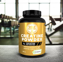 Creatine Powder - Gold Nutrition - 280gr