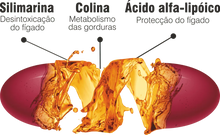 Ilustração do Complexo Hepa DTX com silimarina, colina e ácido alfa-lipóico associados à desintoxicação e proteção do fígado.