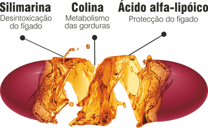 Ilustração do Complexo Hepa DTX com silimarina, colina e ácido alfa-lipóico associados à desintoxicação e proteção do fígado.