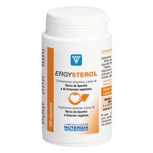 Boião branco de ERGYSTEROL com tampa branca, rótulo branco com detalhes laranja e indicação de 100 cápsulas.
